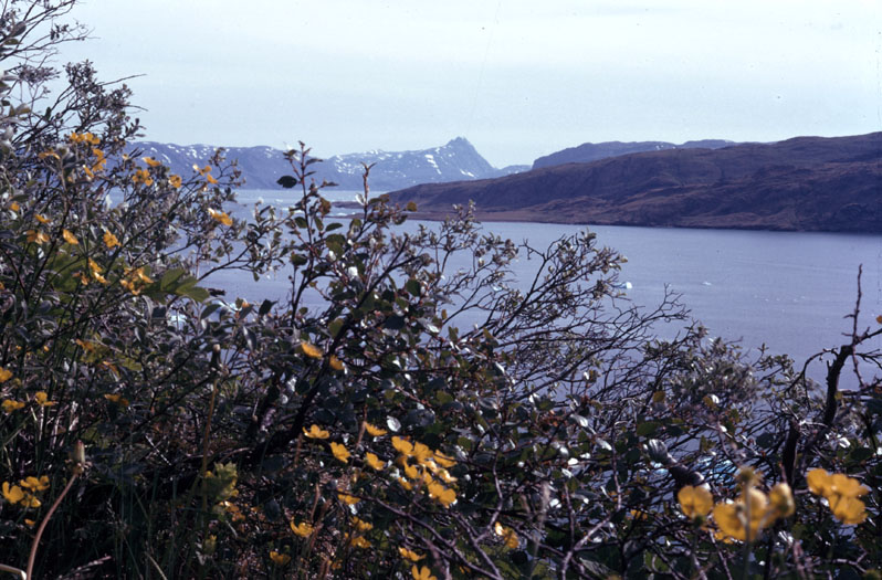 Sydgrønland 1974