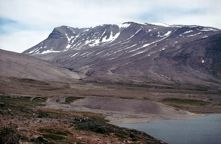 Sydgrønland 1974