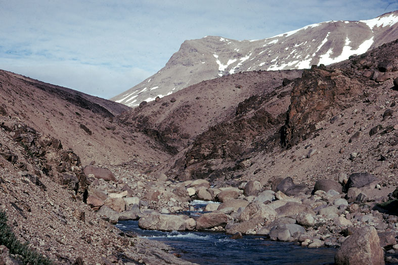 Sydgrønland 1974