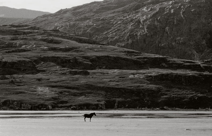 Sydgrønland 1974