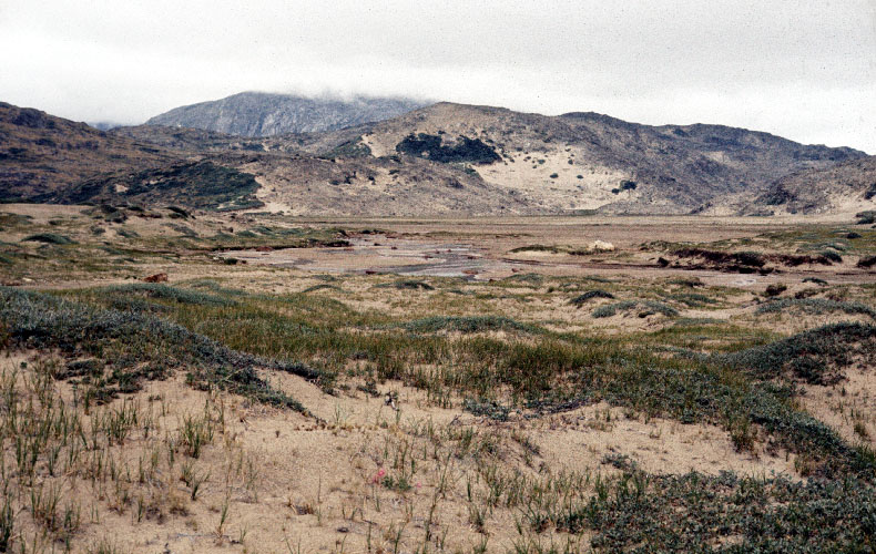 Sydgrønland 1974