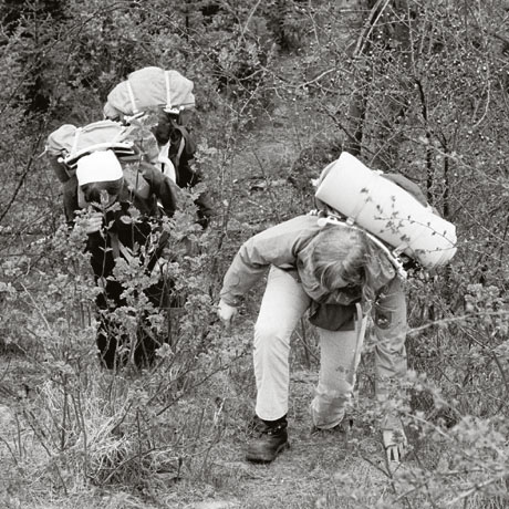 Vandring i Sydgrønland 1975