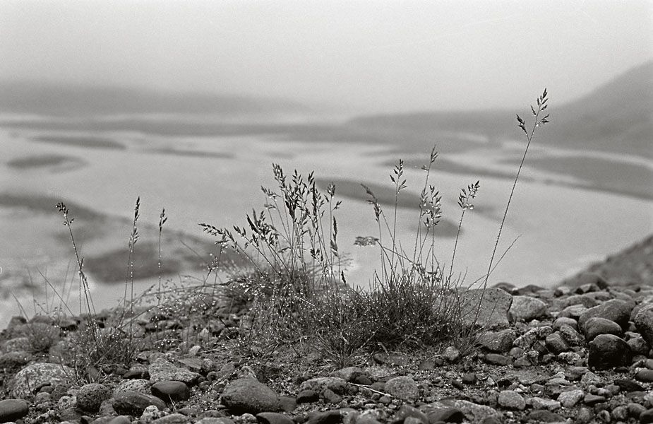 Vandring i Sydgrønland 1975