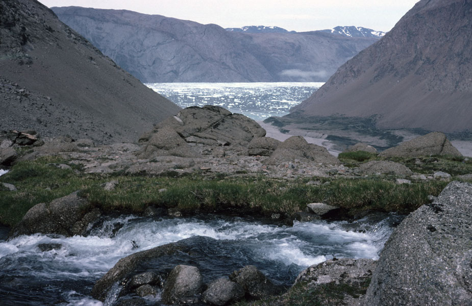 Vandring i Sydgrønland 1975