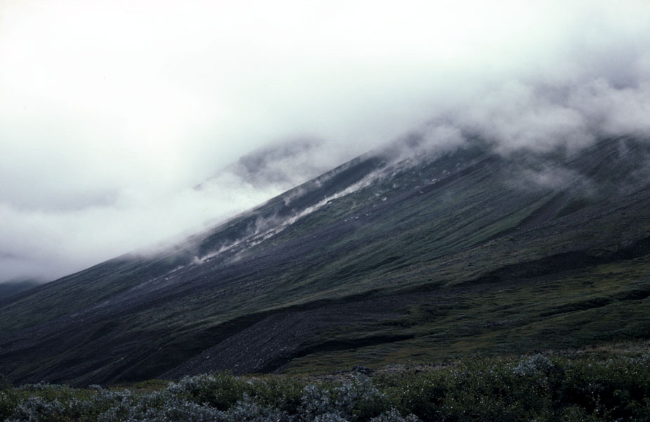 Vandring i Sydgrønland 1975