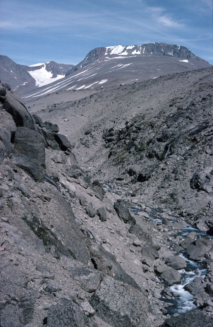 Vandring i Sydgrønland 1975