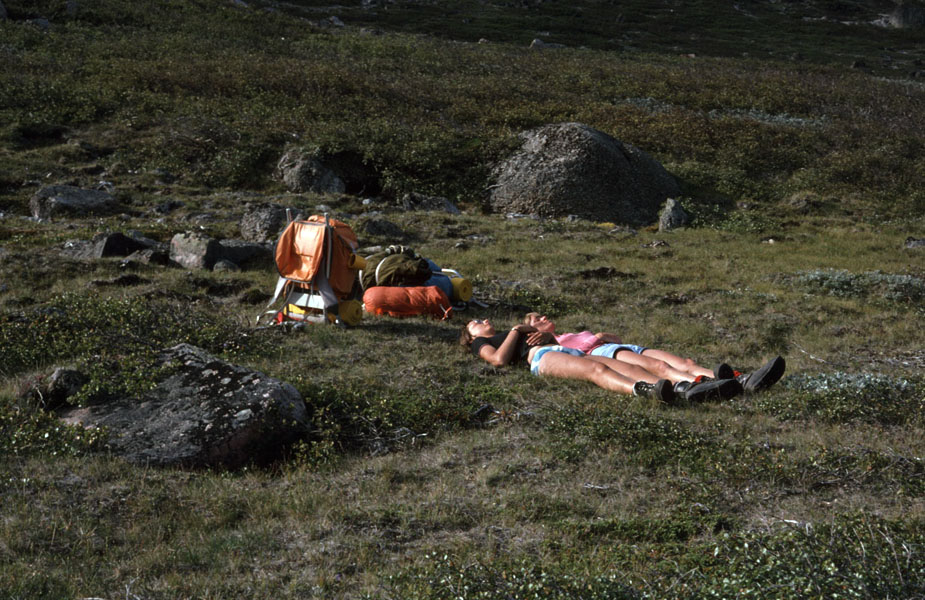 Vandring i Sydgrønland 1975