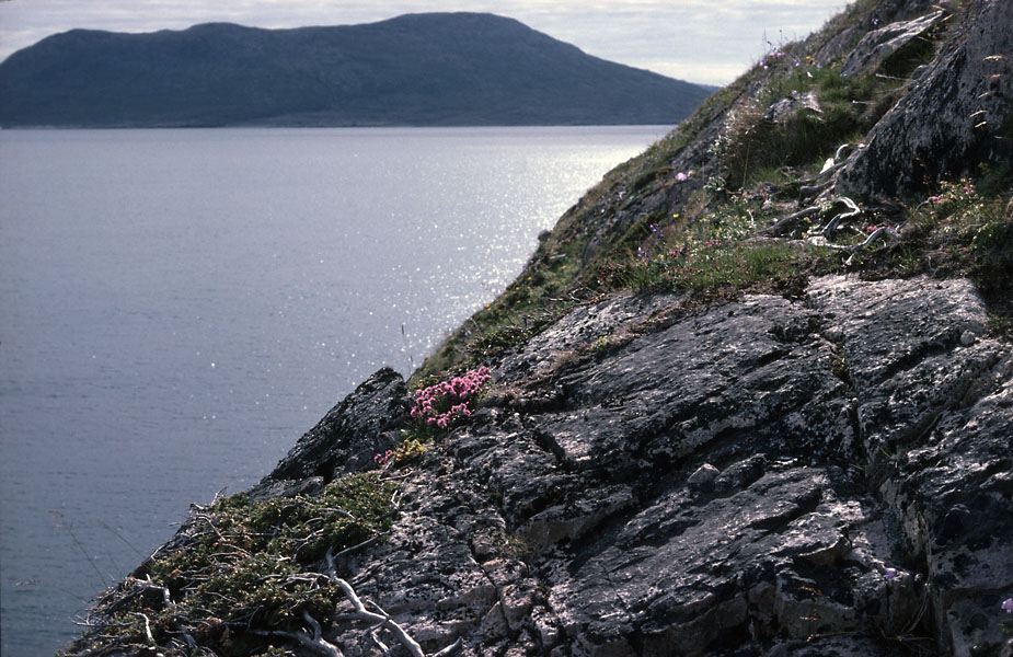 Vandring i Sydgrønland 1975