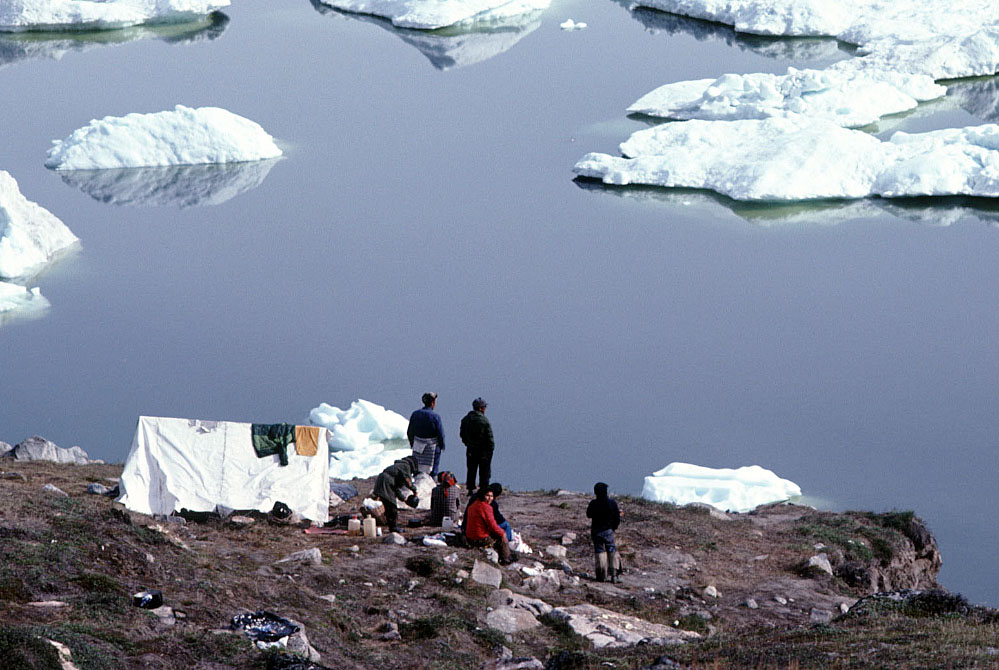 Grønland 1977