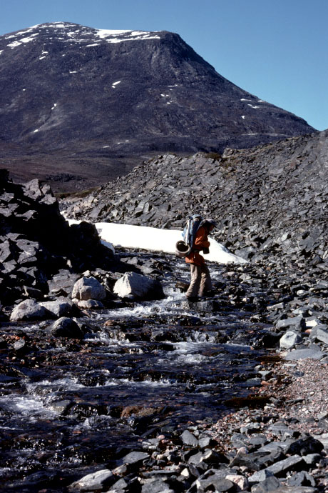 Grønland 1977