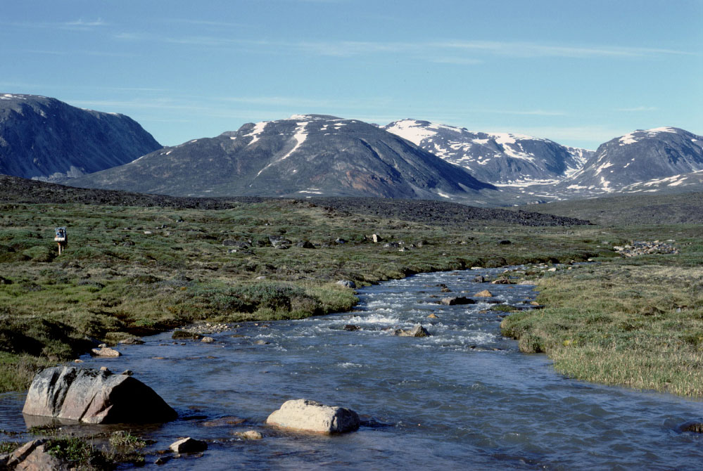 Grønland 1977