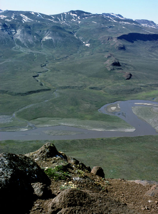 Grønland 1977