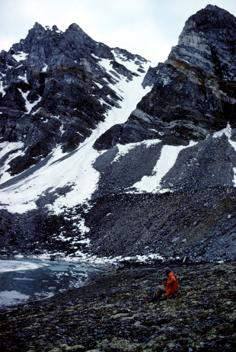 Grønland 1977