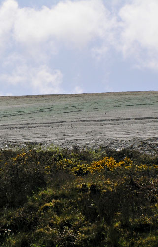 Cornish Excursions