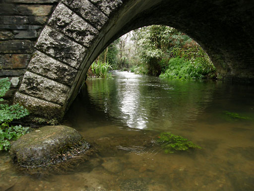 St Neot, Cornwall