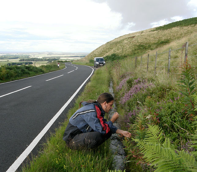 Moorfoot Hills, Scotland