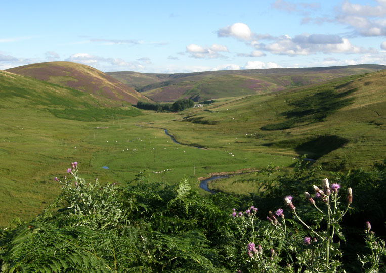 Moorfoot Hills