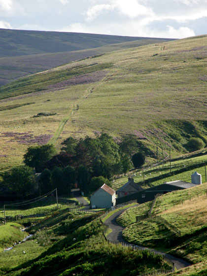 Moorfoot Hills