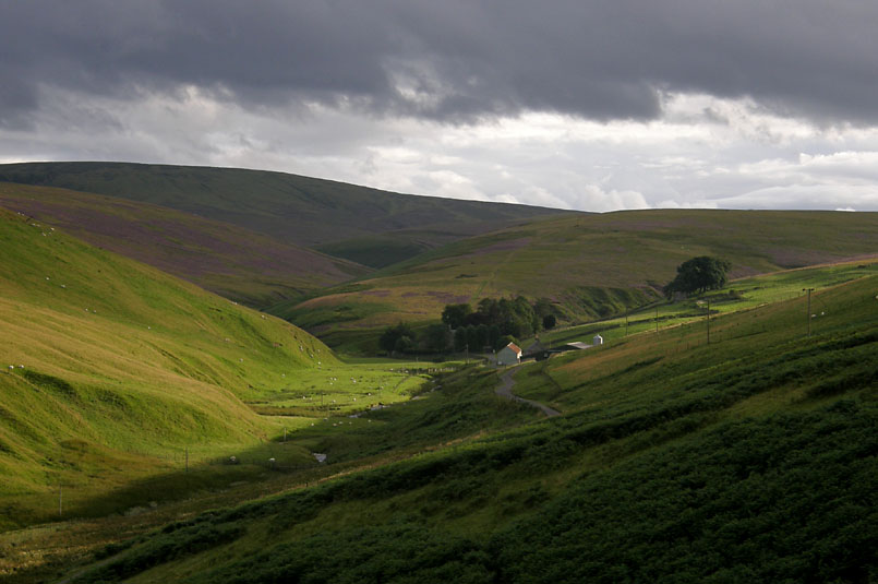 Moorfoot Hills