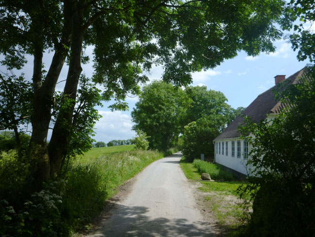 Ølejr på Lyø 2013