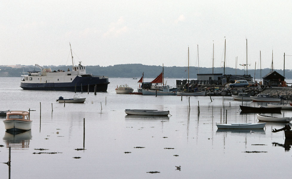 Ølejr på Lyø 2013