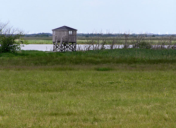 Fugletårn ved Lønborggård