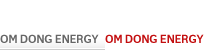 Om DONG Energy
