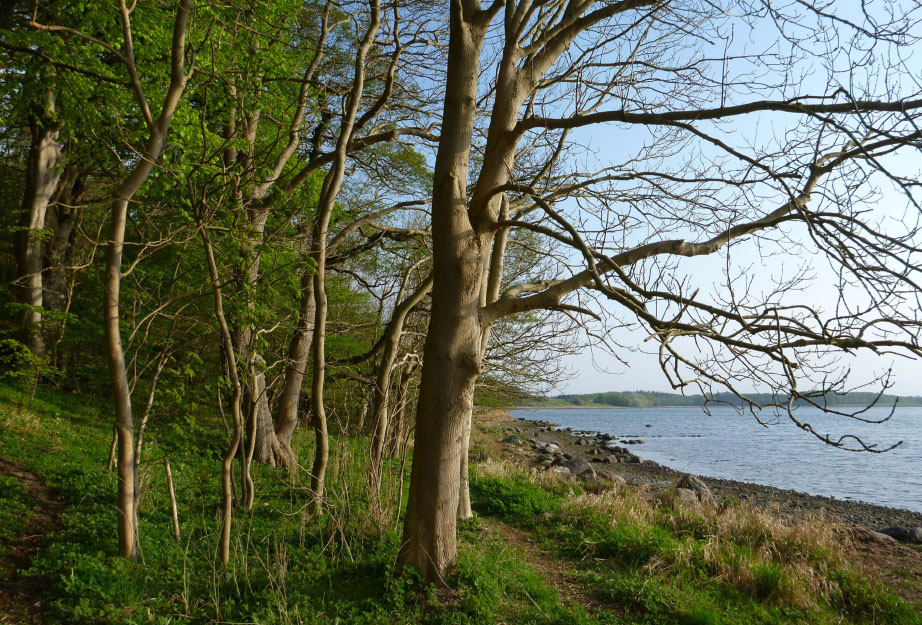 Ved Isefjorden