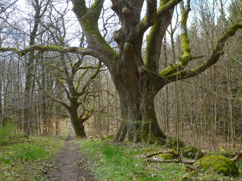 Vandring Hvalsø-Haraldsted