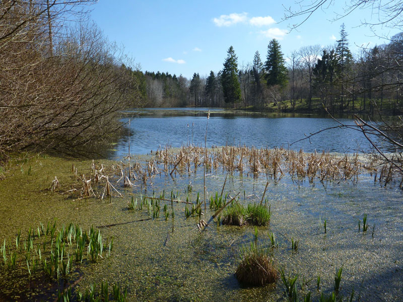 Vandring Hvalsø-Haraldsted