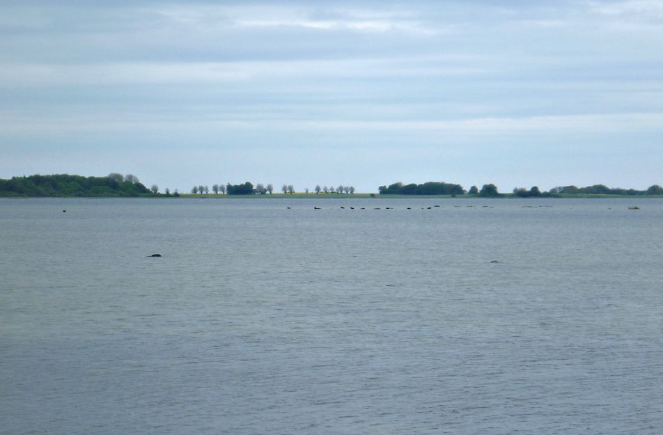 Cykeltur på Sydsjælland