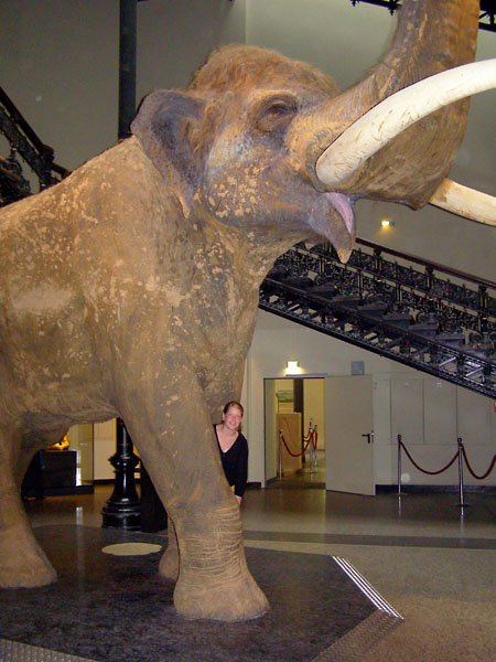 Museum für Naturkunde, Berlin