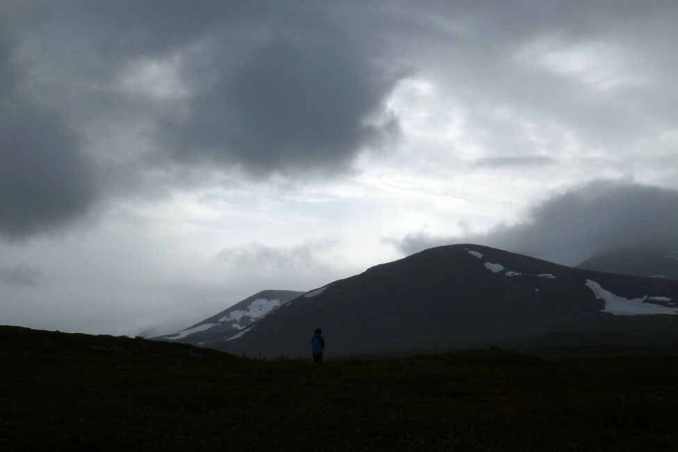 Sarek