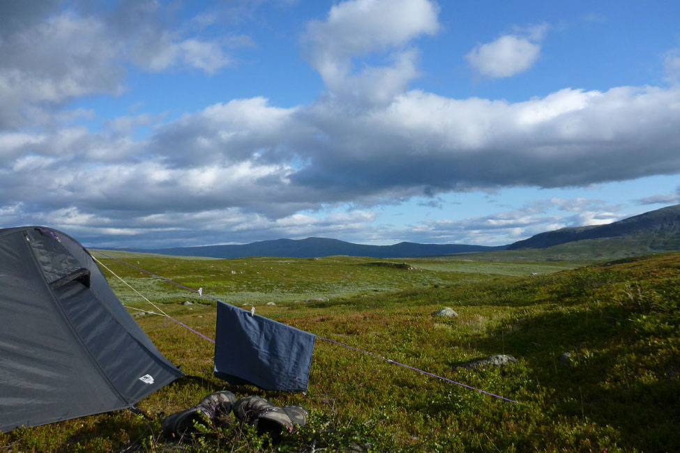 Sarek