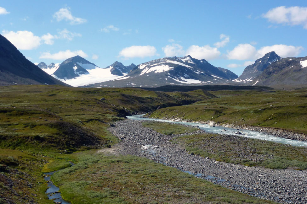 Sarek