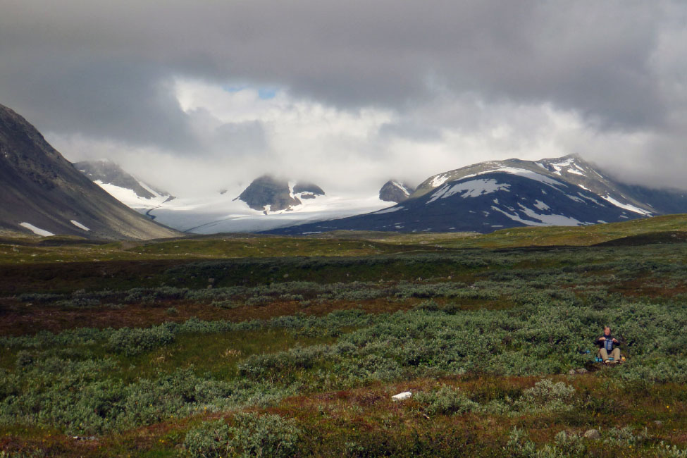 Sarek