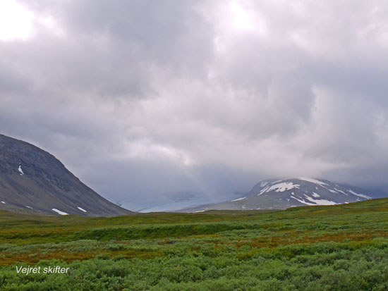 Sarek