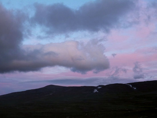 Sarek