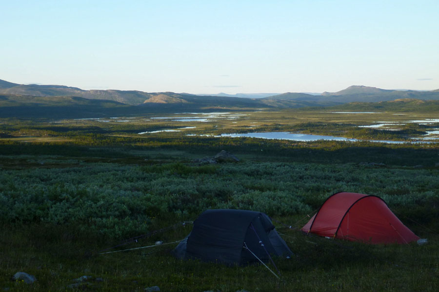 Sarek