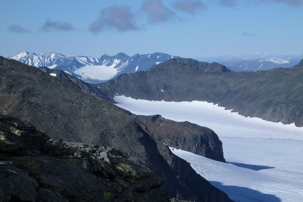 Sarek