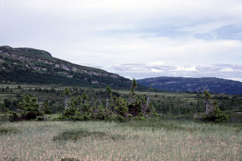 Fjeldvandring i Norge 1982