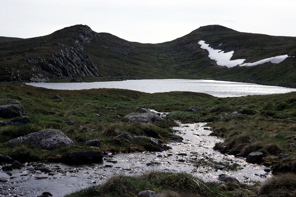 Fjeldvandring i Norge 1982