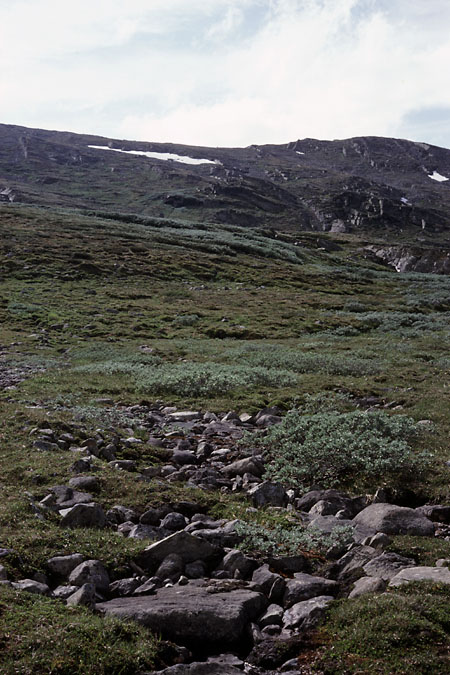 Fjeldvandring i Norge 1982