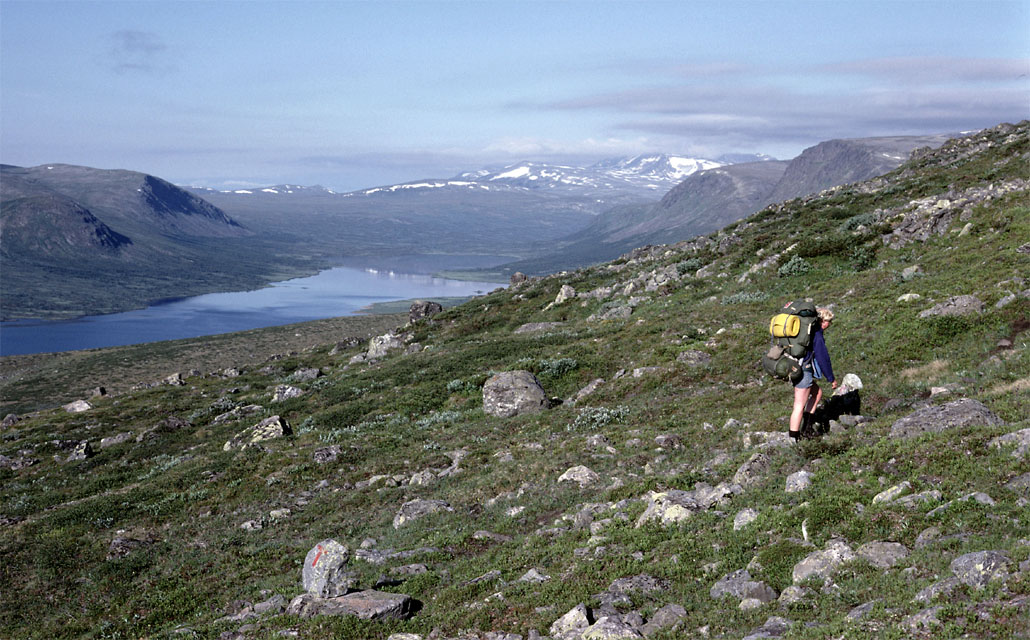 Fjeldvandring i Norge 1982