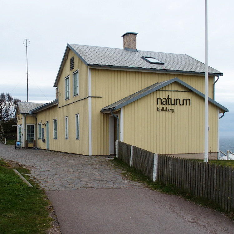 Kullaleden