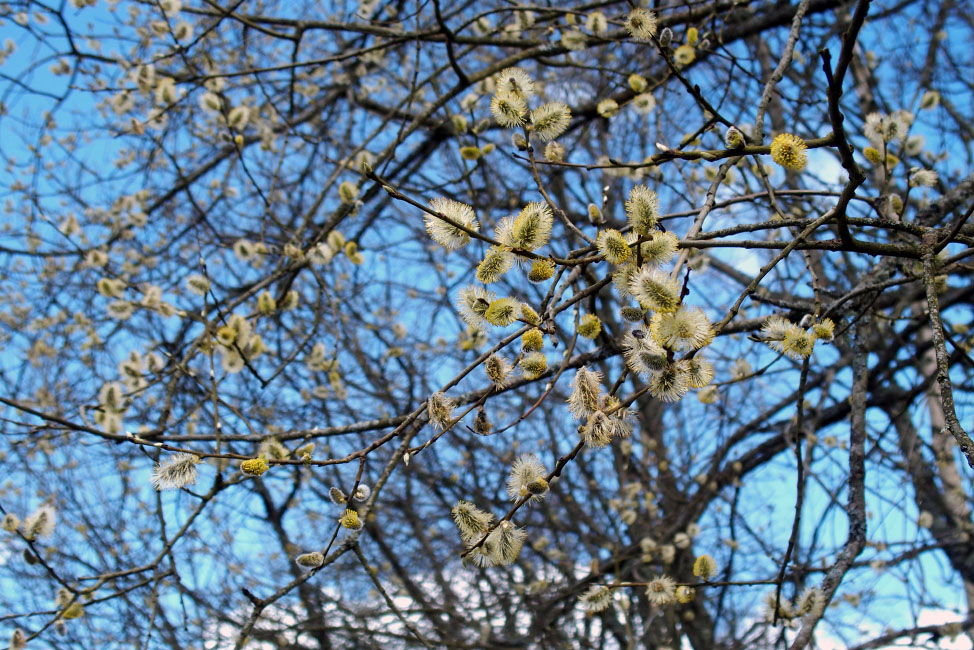 Skåneleden april 2015