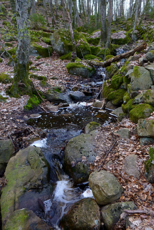         Skåneleden april 2015