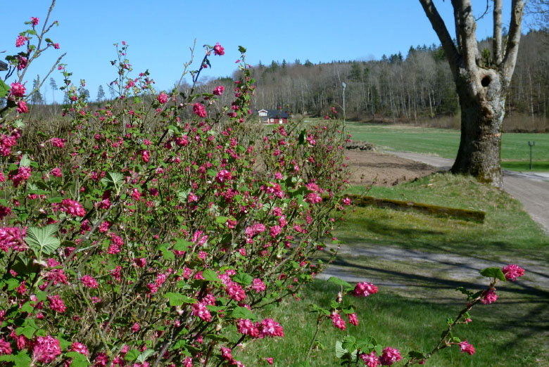         Skåneleden april 2015