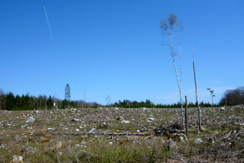         Skåneleden april 2015